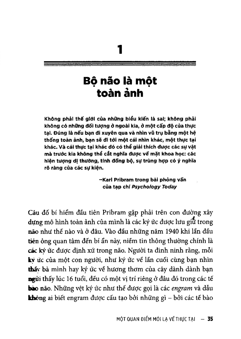 vũ trụ toàn ảnh