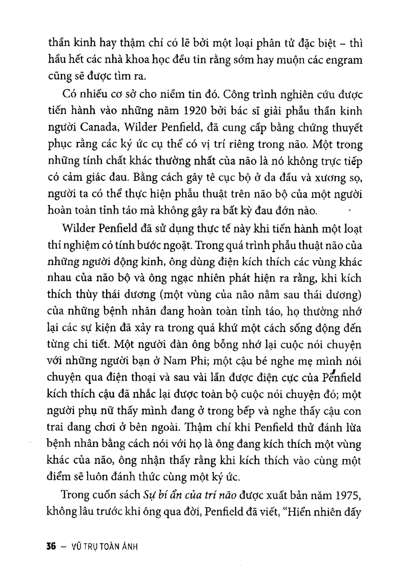 vũ trụ toàn ảnh