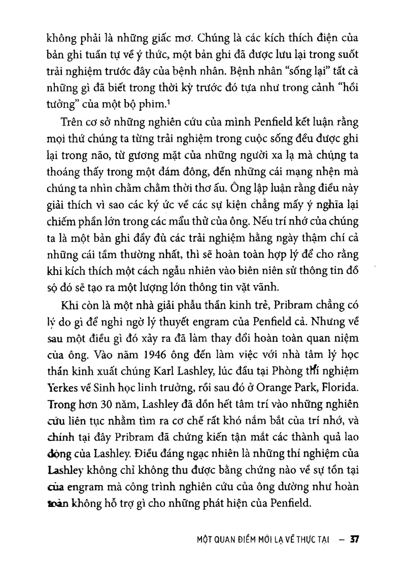 vũ trụ toàn ảnh