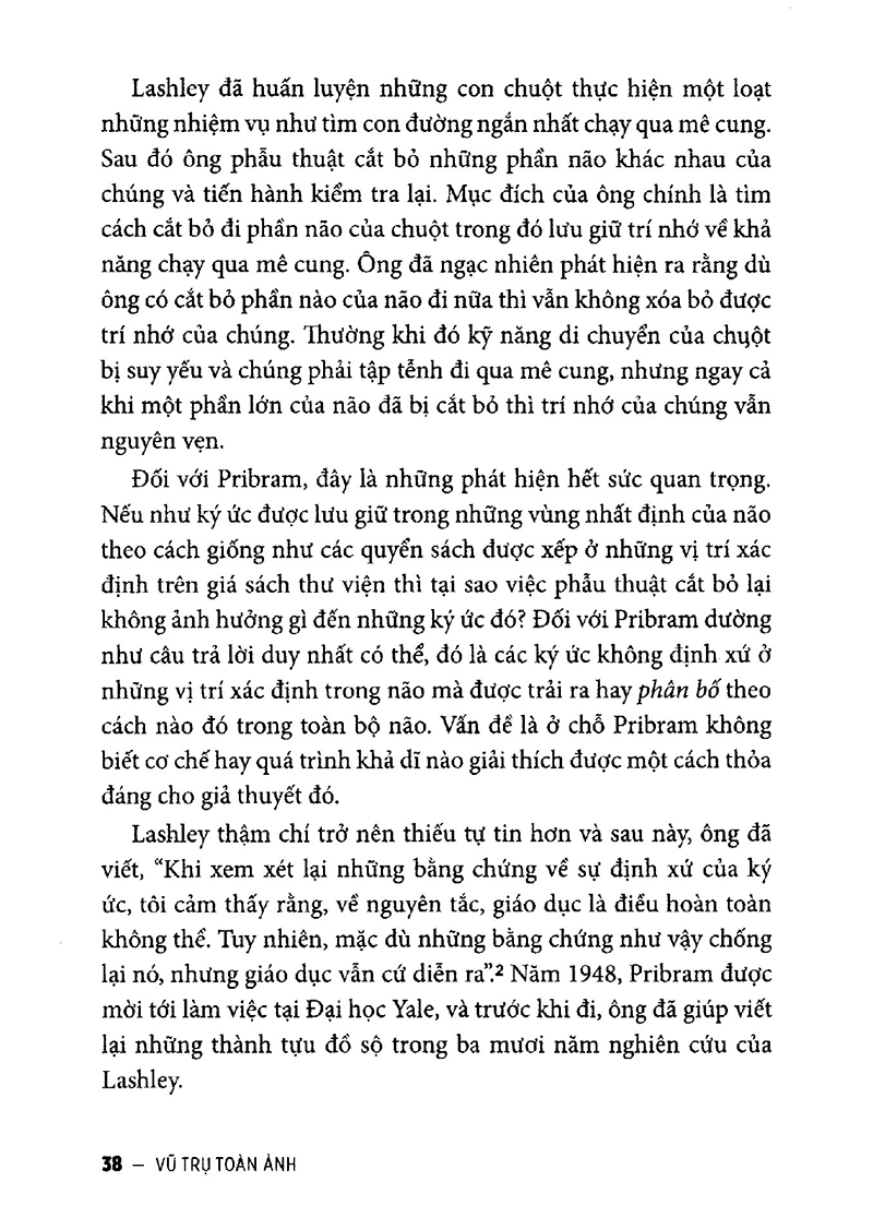 vũ trụ toàn ảnh