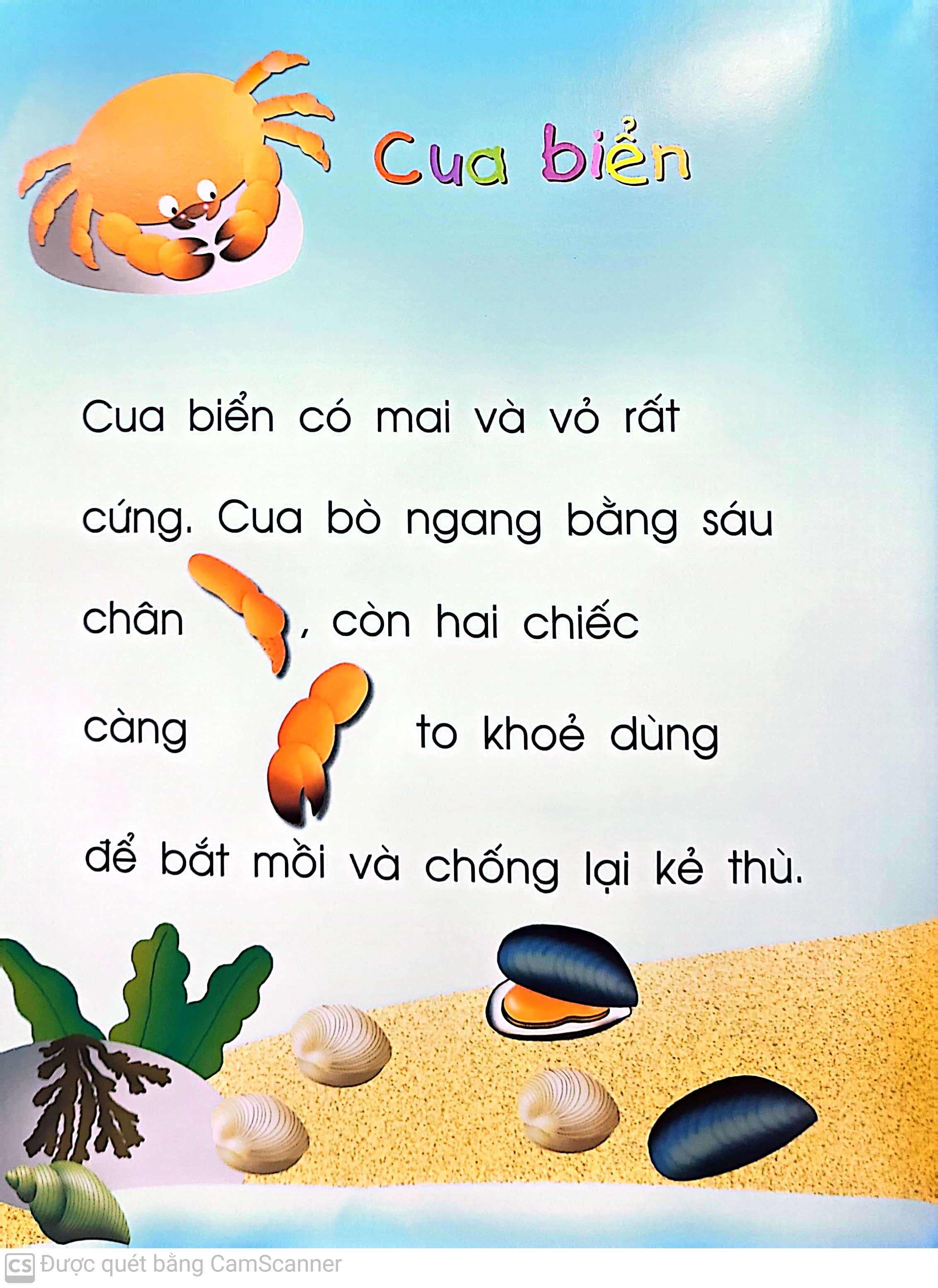 vừa học vừa chơi - động vật dưới biển (tái bản 2020)