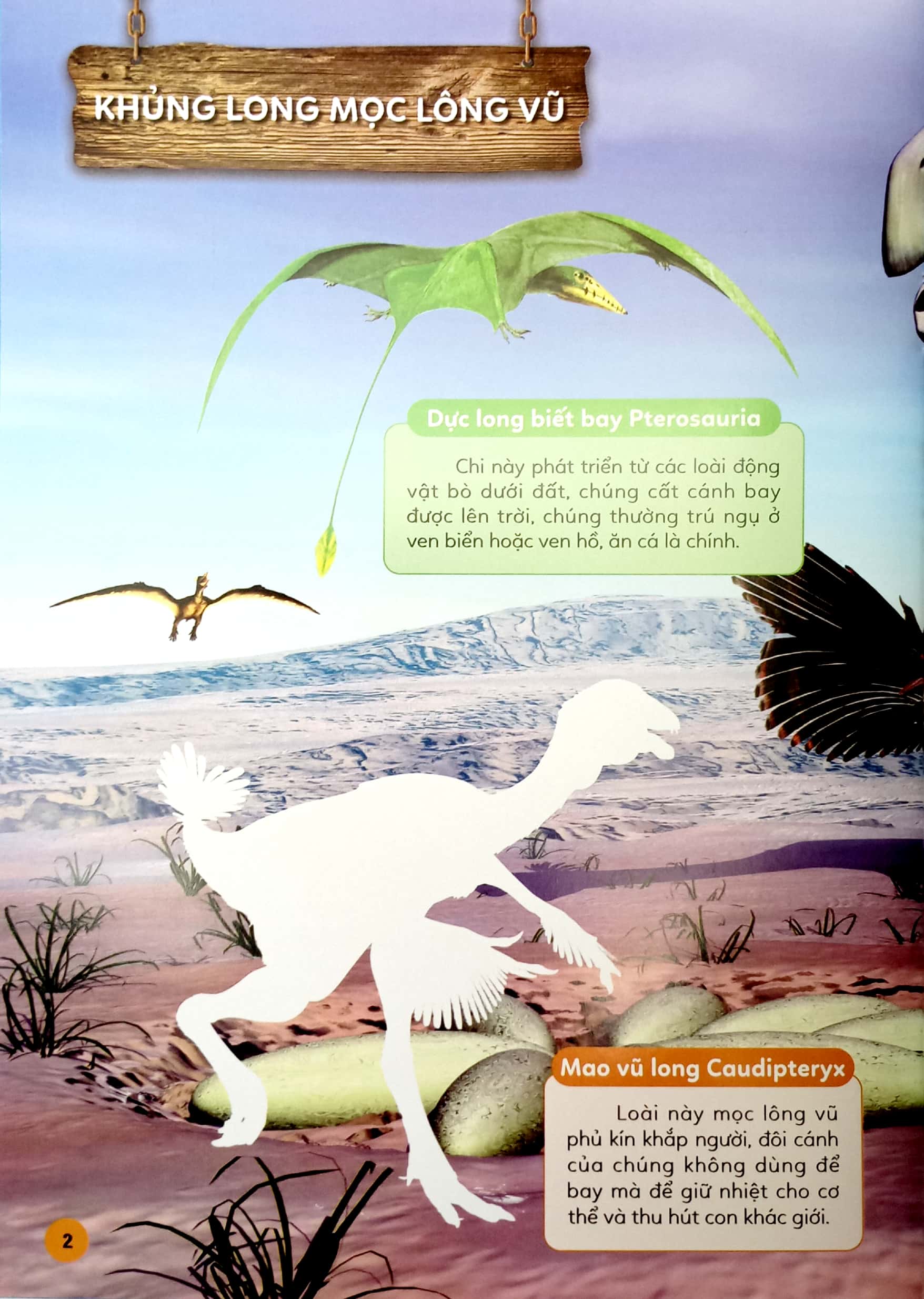 Vua Hoc Vua Choi - Sticker Khung Long - The Gioi Khung Long