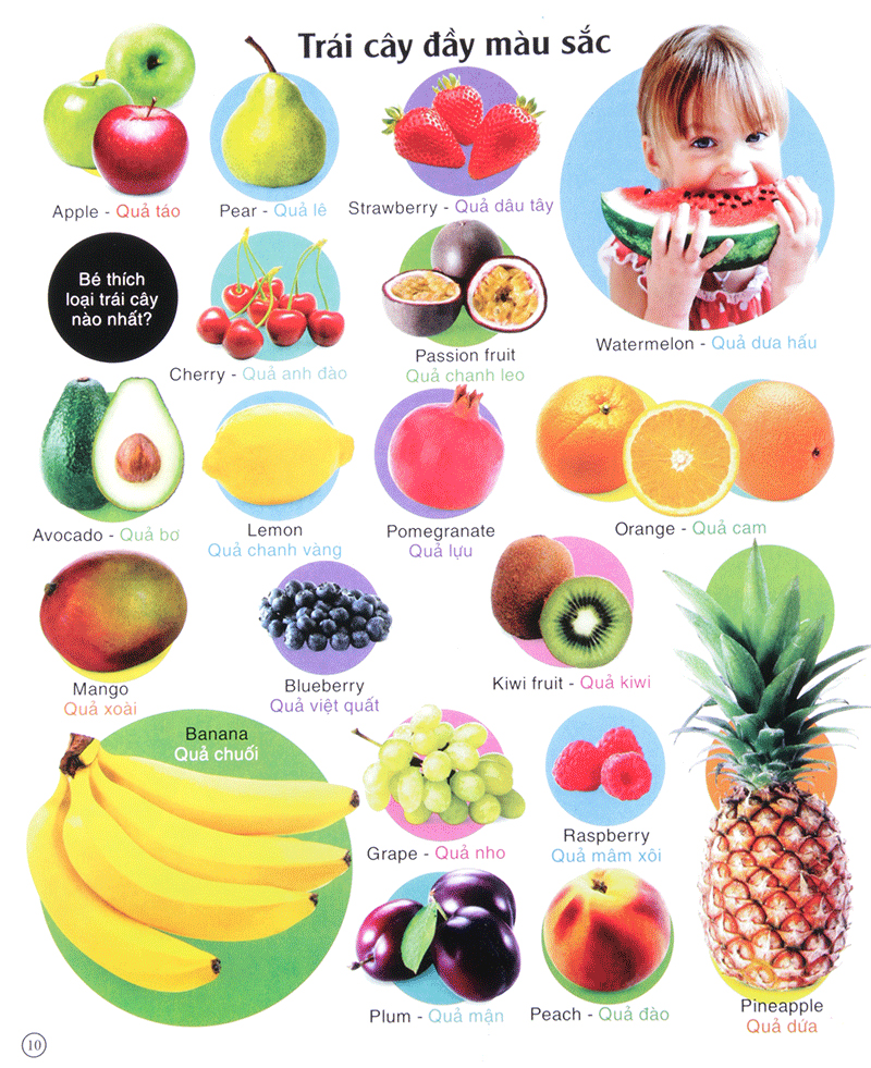 vừa học vừa chơi - từ vựng tiếng anh