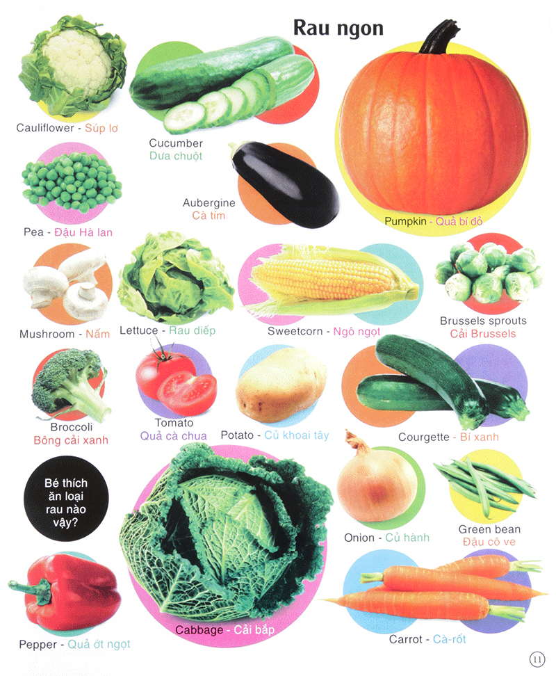 vừa học vừa chơi - từ vựng tiếng anh