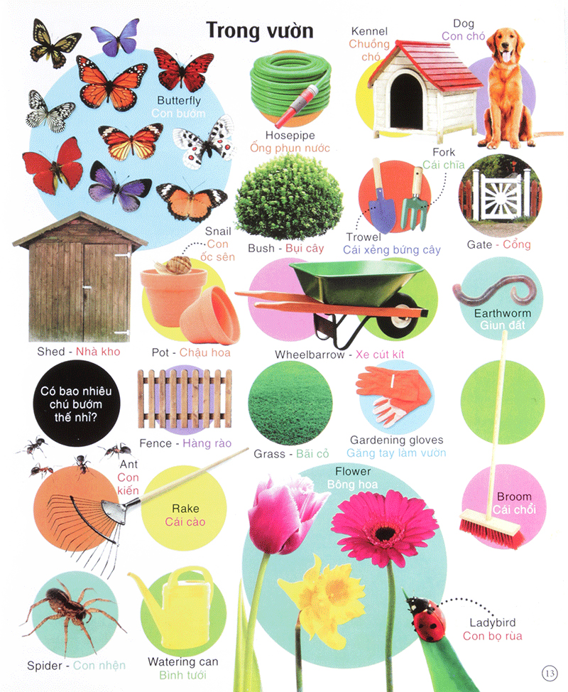 vừa học vừa chơi - từ vựng tiếng anh