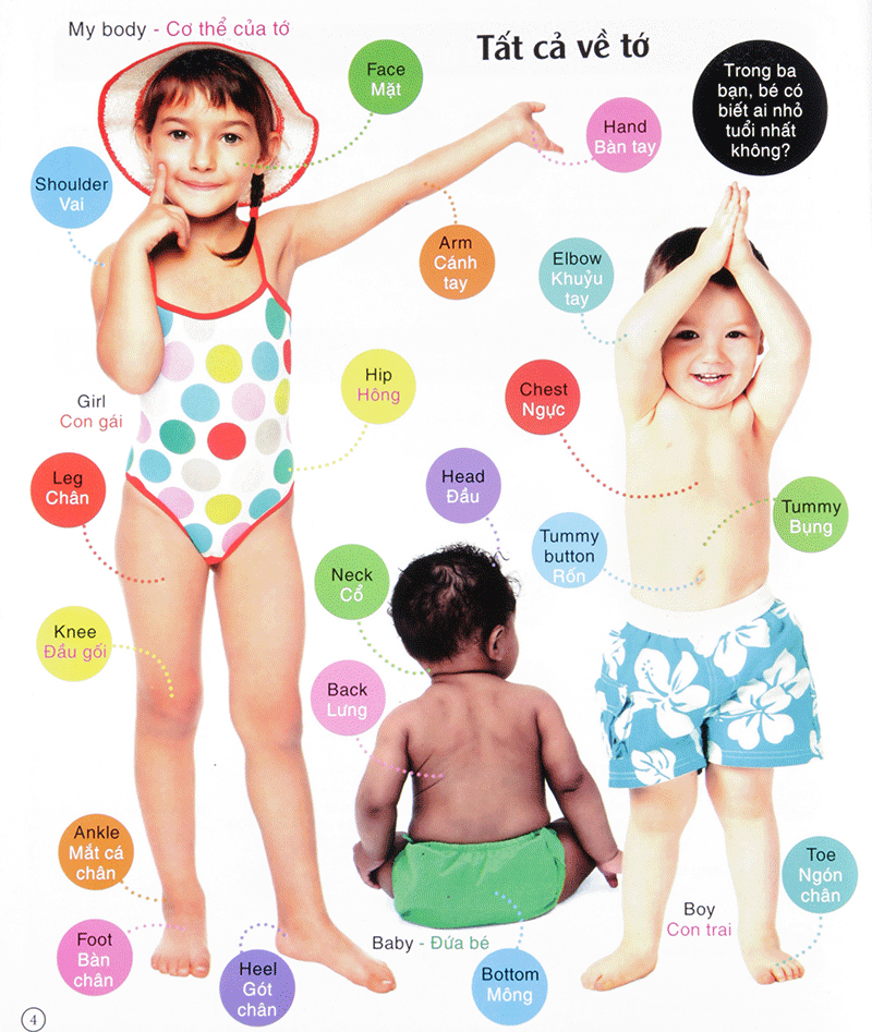 vừa học vừa chơi - từ vựng tiếng anh