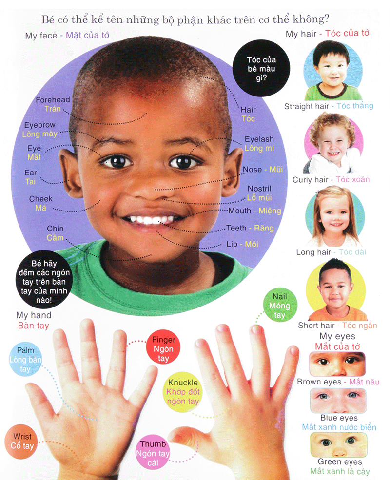 vừa học vừa chơi - từ vựng tiếng anh