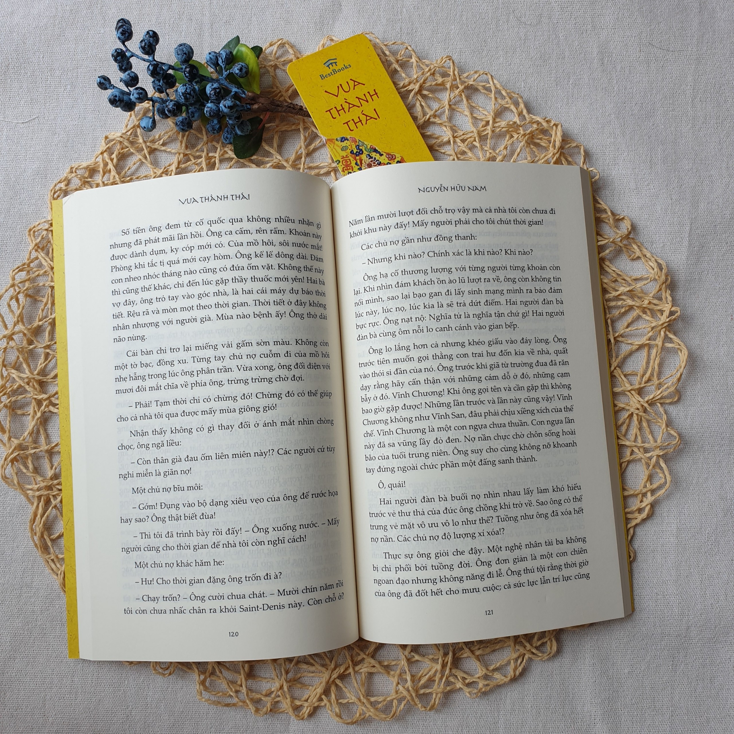 Vua Thành Thái (Tiểu Thuyết Lịch Sử)