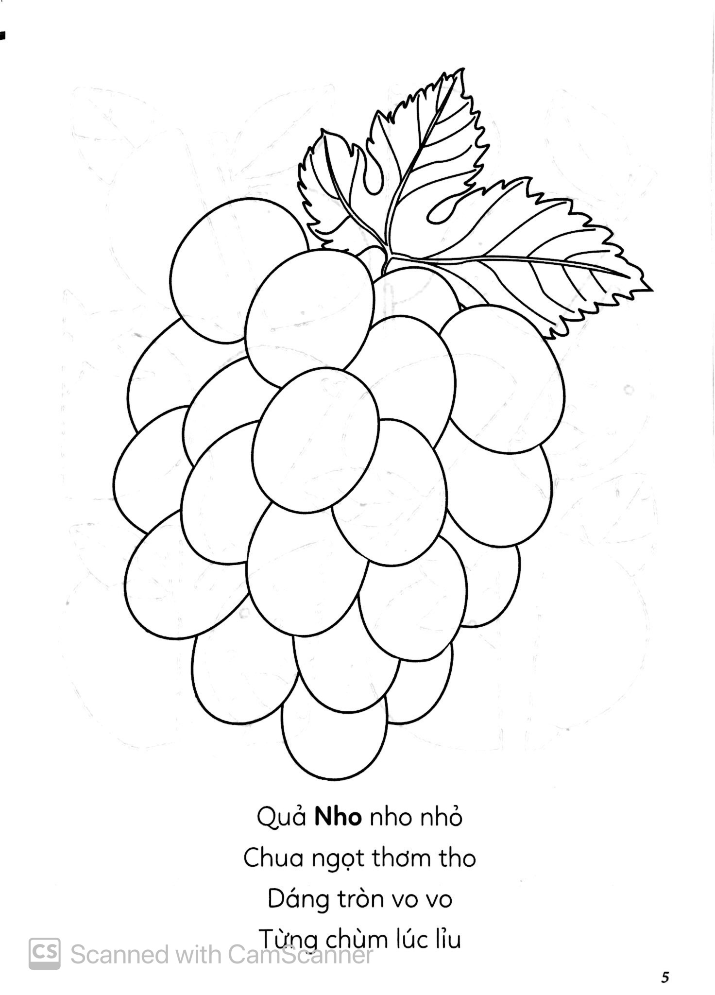 Vừa Tô Màu Vừa Học - Bốn Mùa Cây Trái