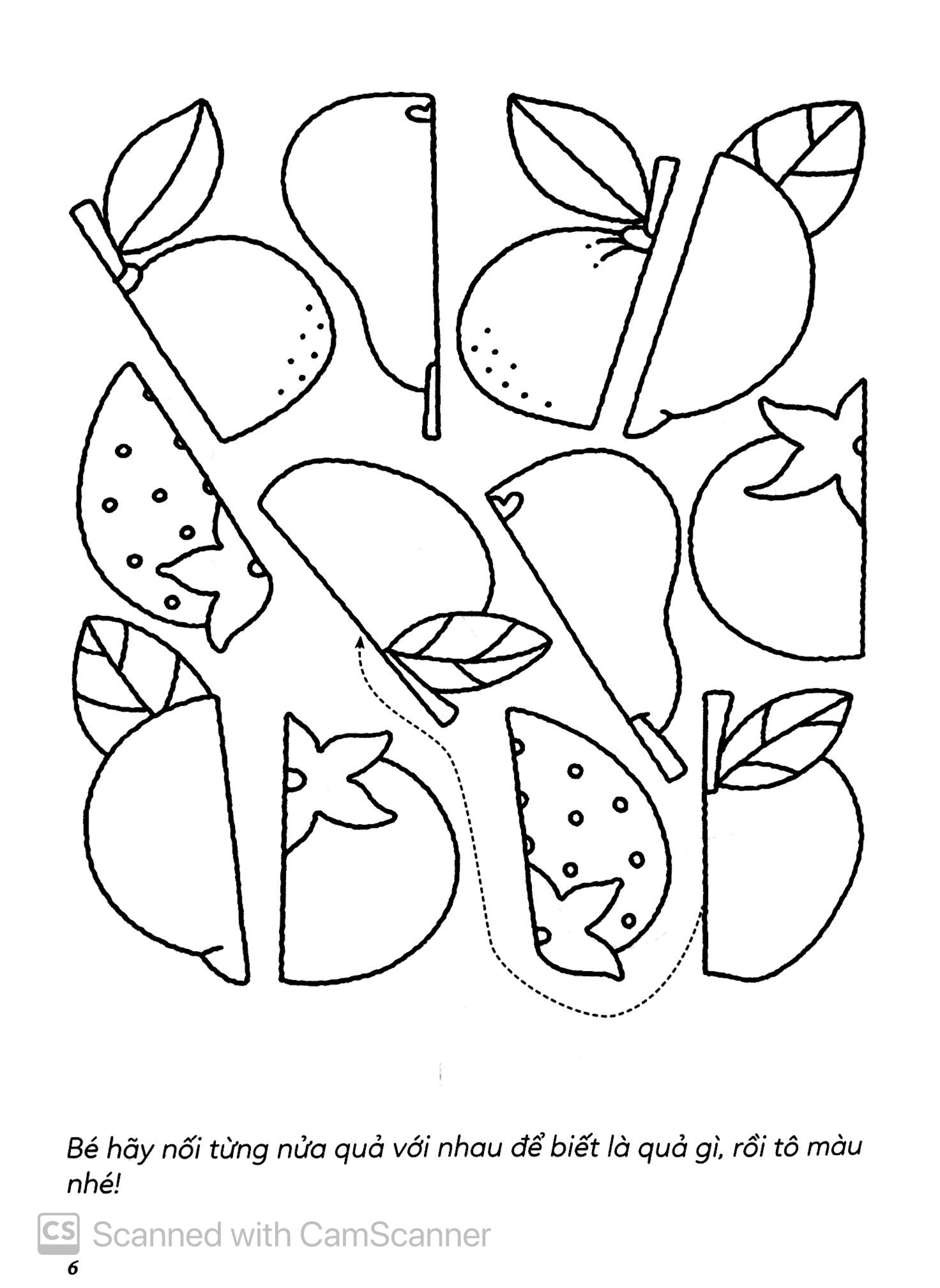 Vừa Tô Màu Vừa Học - Bốn Mùa Cây Trái