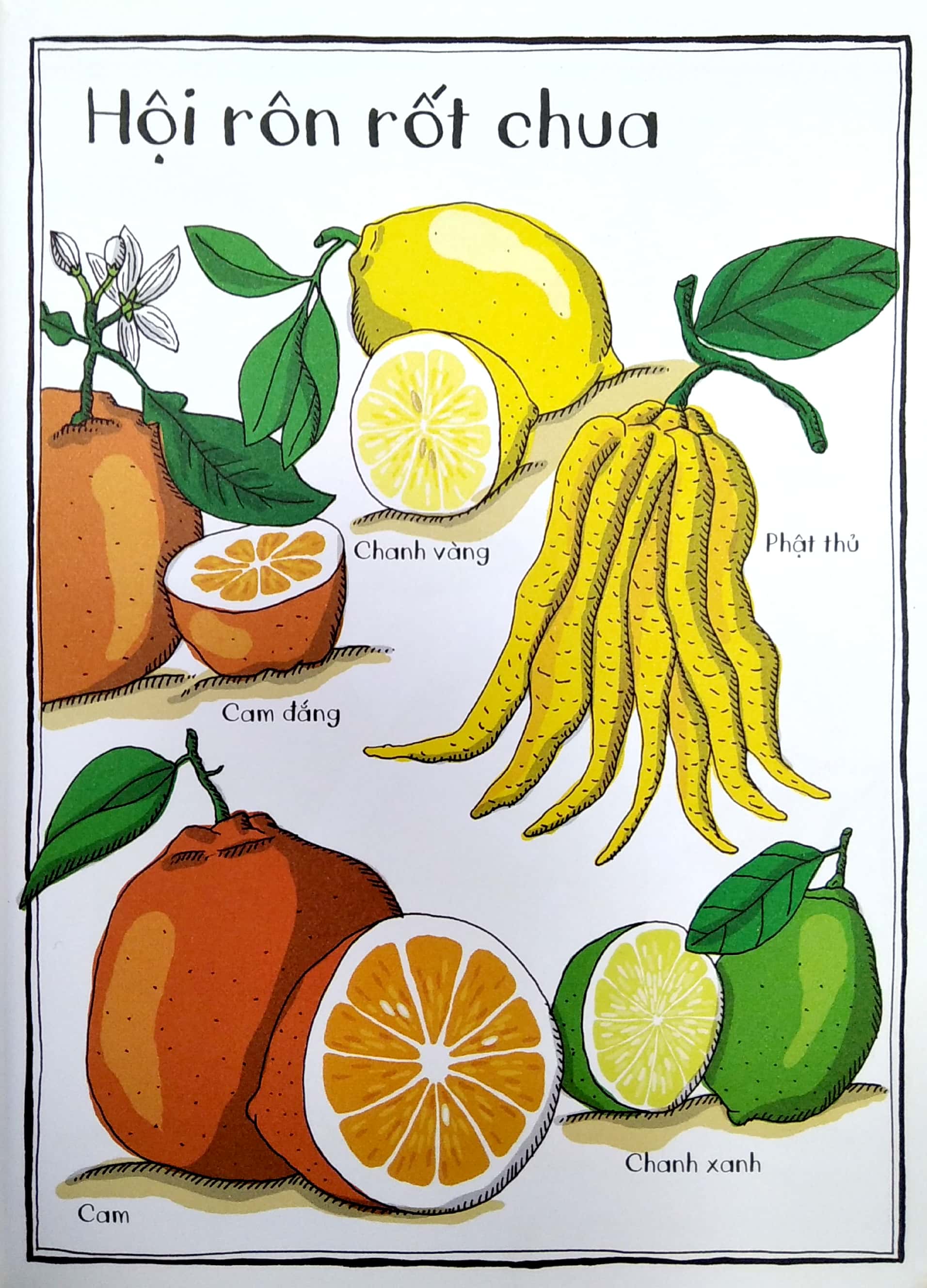 vườn bách thảo bằng tranh