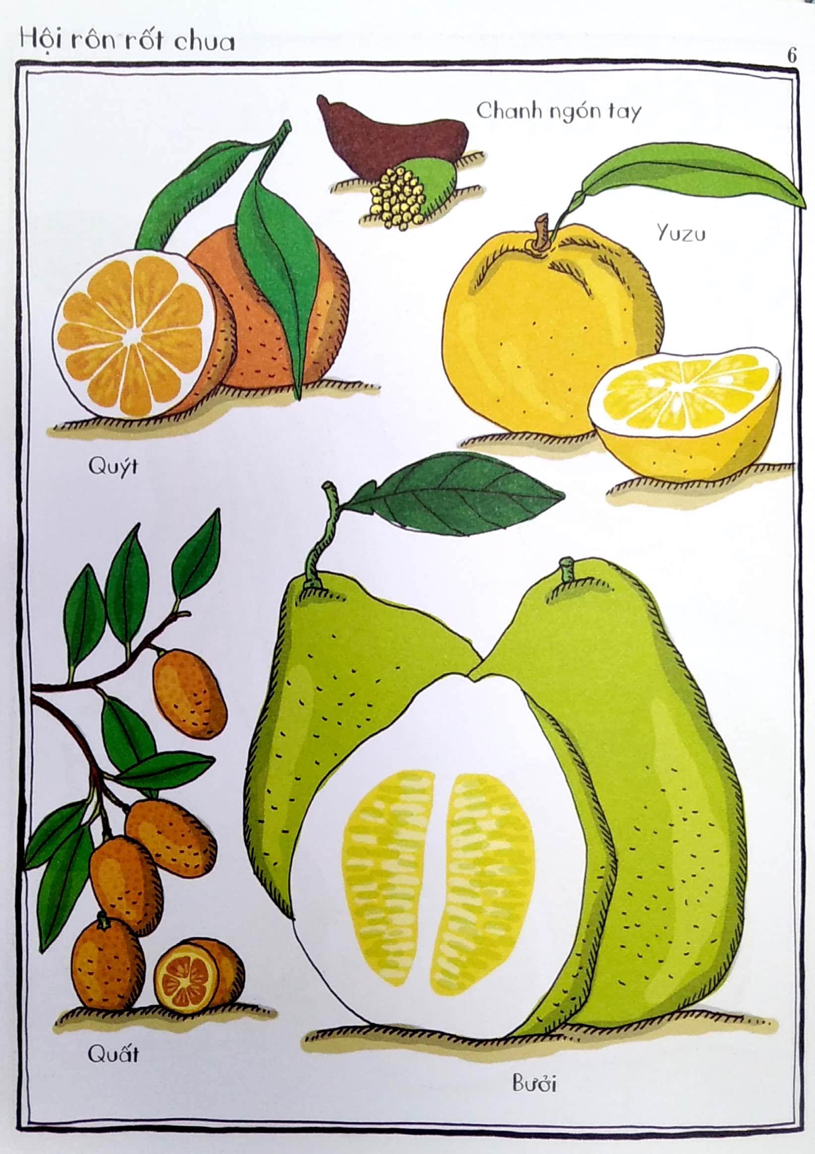 vườn bách thảo bằng tranh