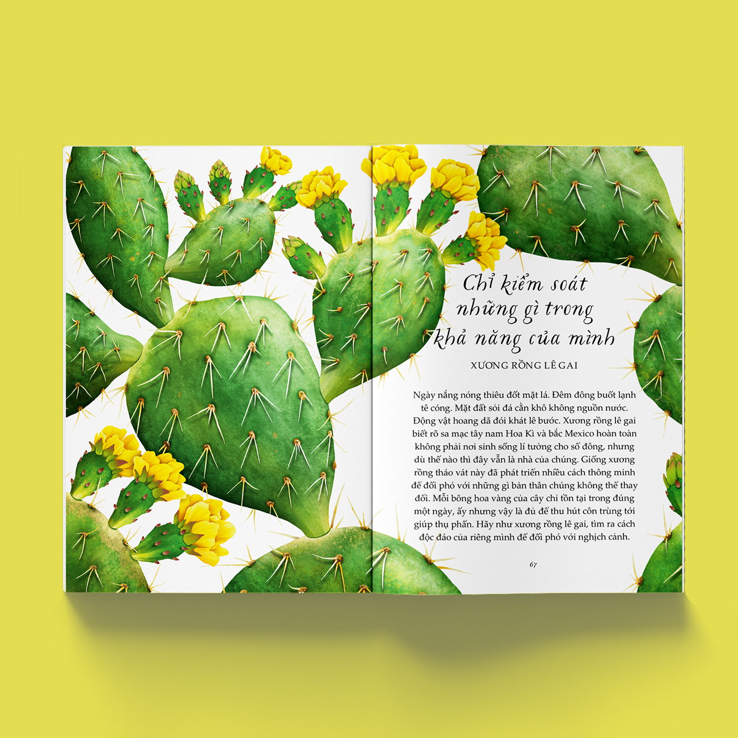 vươn mình như những đoá hoa - những bài học nhỏ để có nguồn vui và an lành bất tận