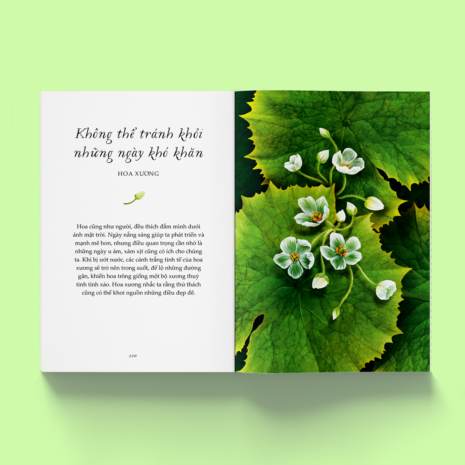 vươn mình như những đoá hoa - những bài học nhỏ để có nguồn vui và an lành bất tận
