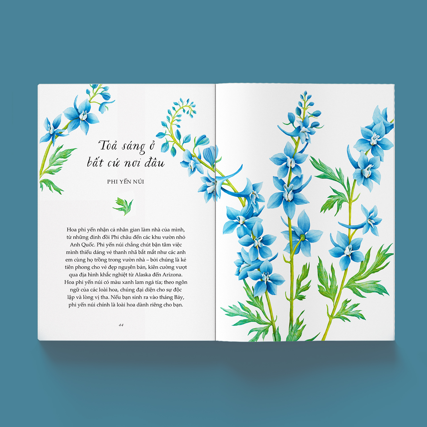 vươn mình như những đoá hoa - những bài học nhỏ để có nguồn vui và an lành bất tận