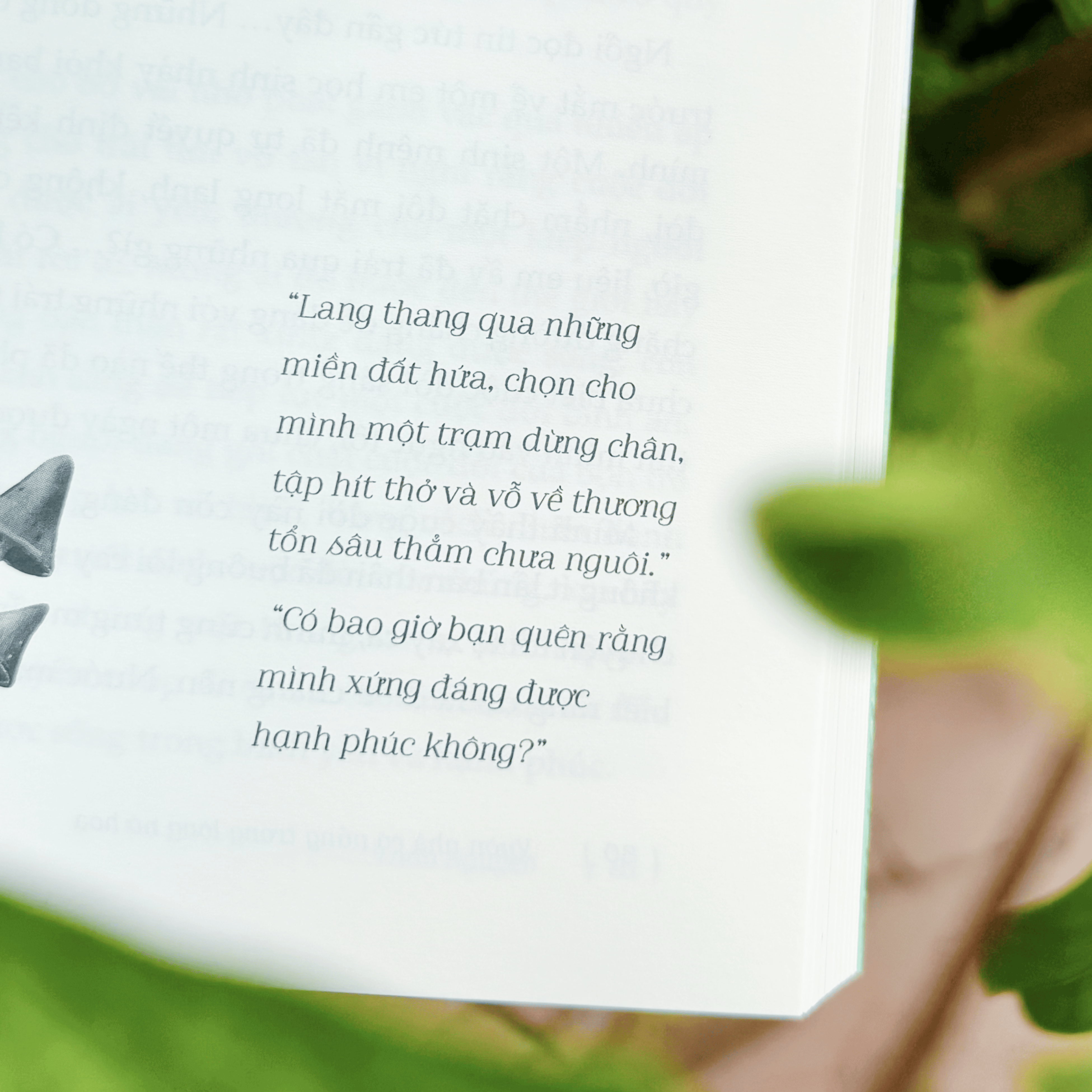 Vuon Nha Co Nang Trong Long No Hoa - Tang Kem Postcard