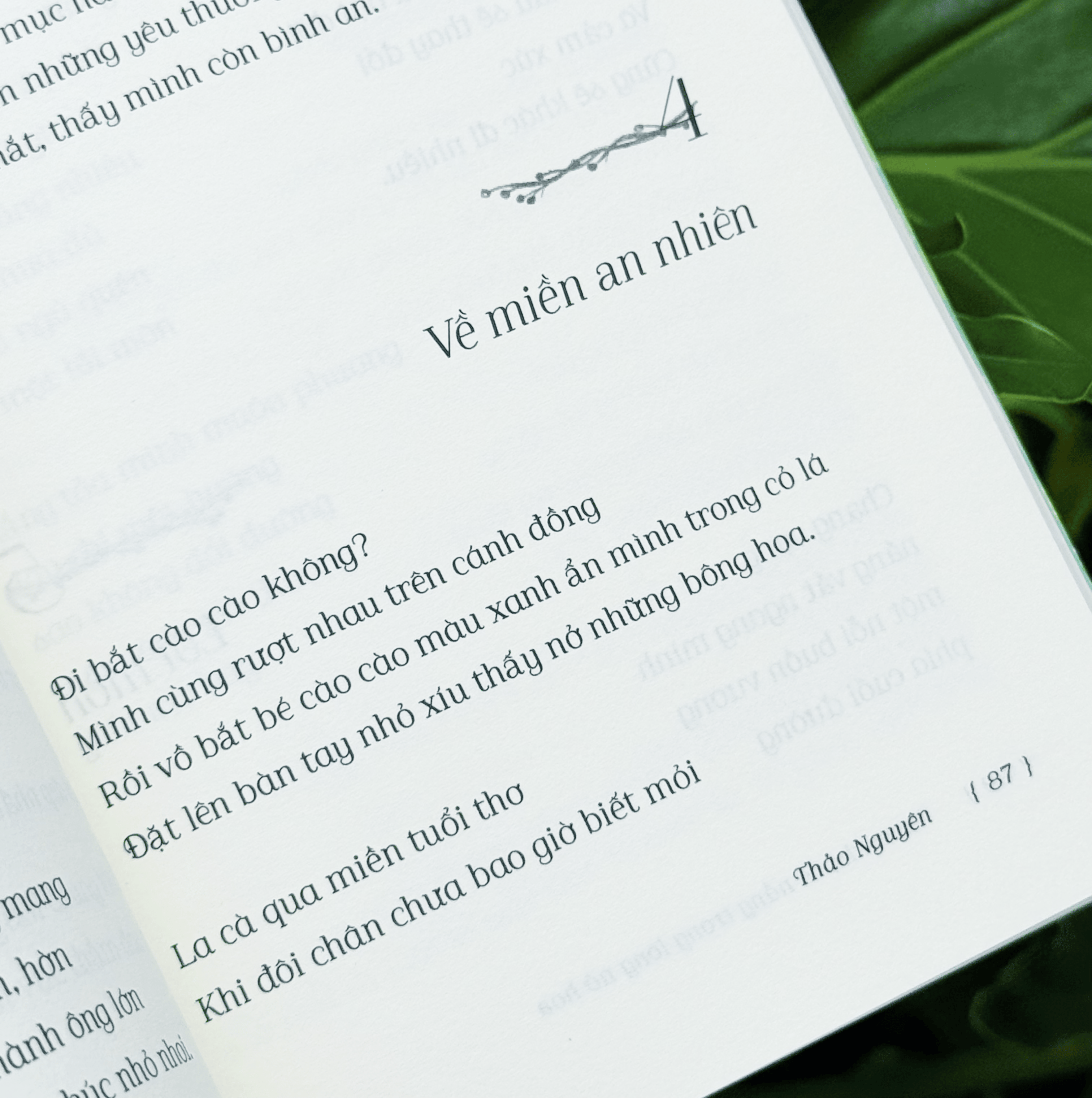 Vuon Nha Co Nang Trong Long No Hoa - Tang Kem Postcard