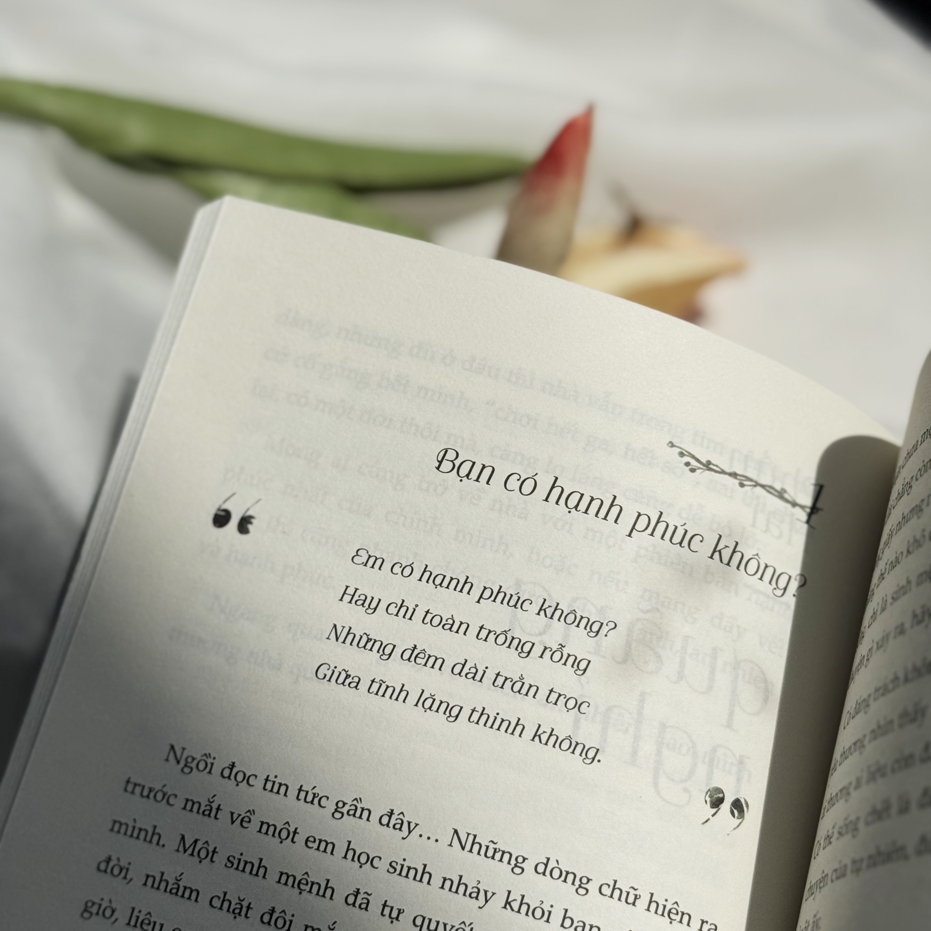 Vuon Nha Co Nang Trong Long No Hoa - Tang Kem Postcard