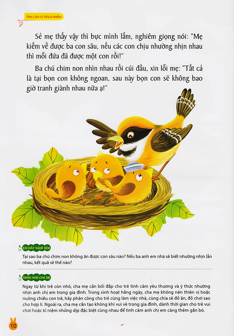 vườn ươm tính cách - tình cảm và trách nhiệm