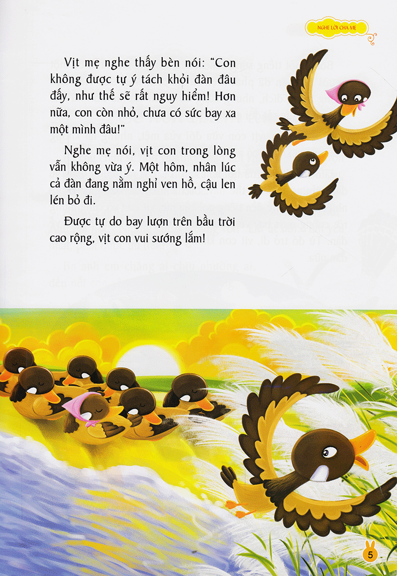 vườn ươm tính cách - tình cảm và trách nhiệm