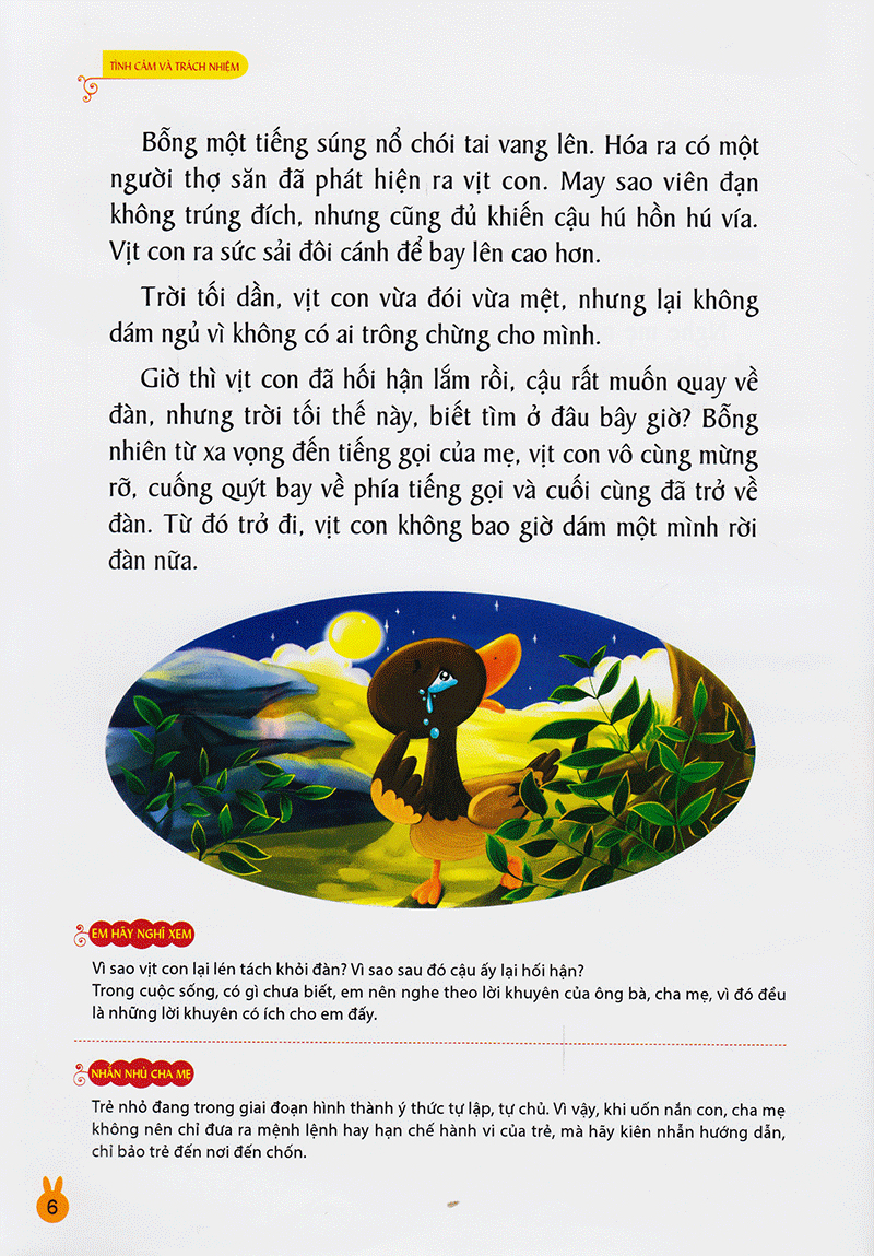 vườn ươm tính cách - tình cảm và trách nhiệm