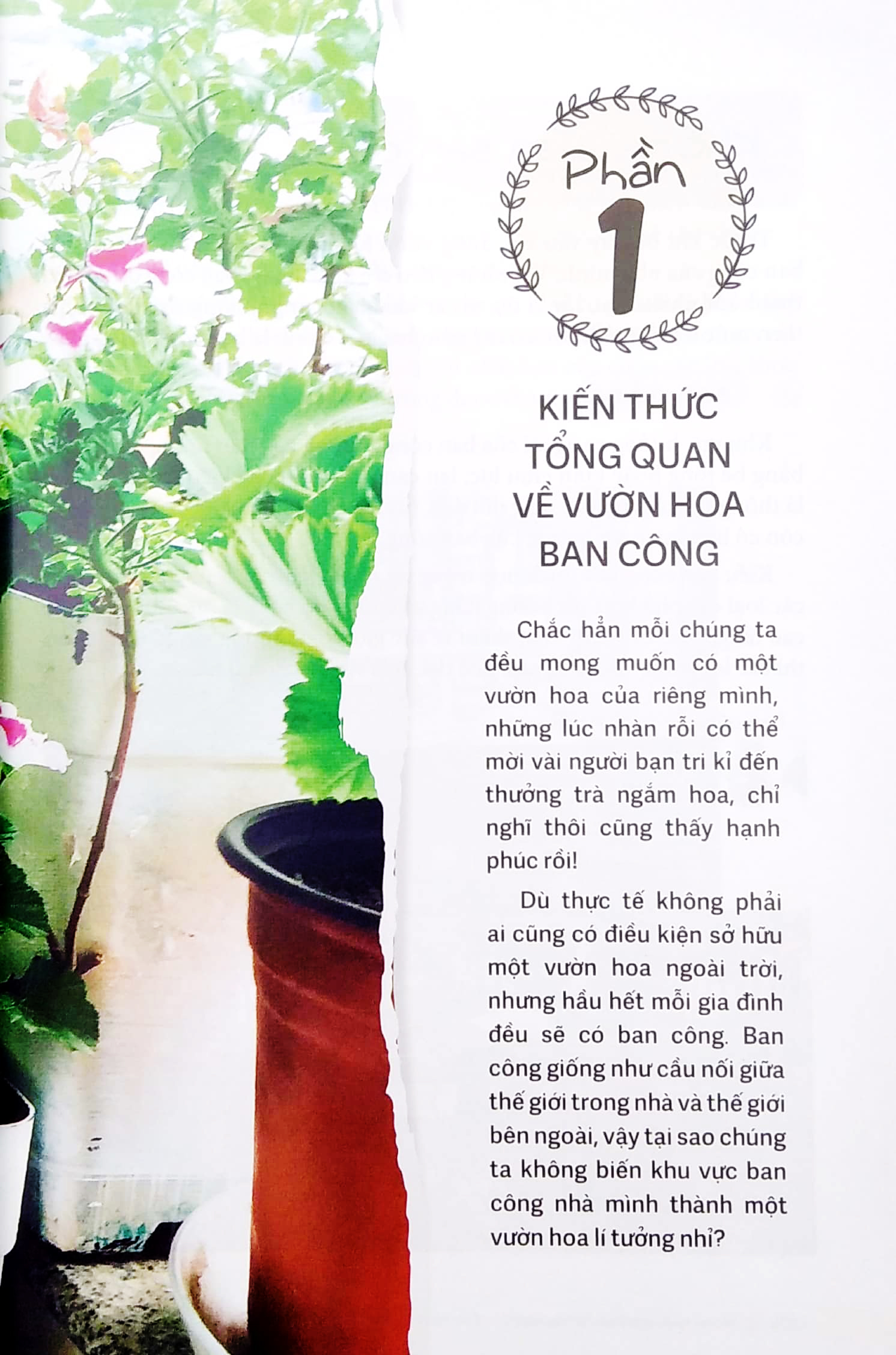 vườn xinh trên ban công nhỏ