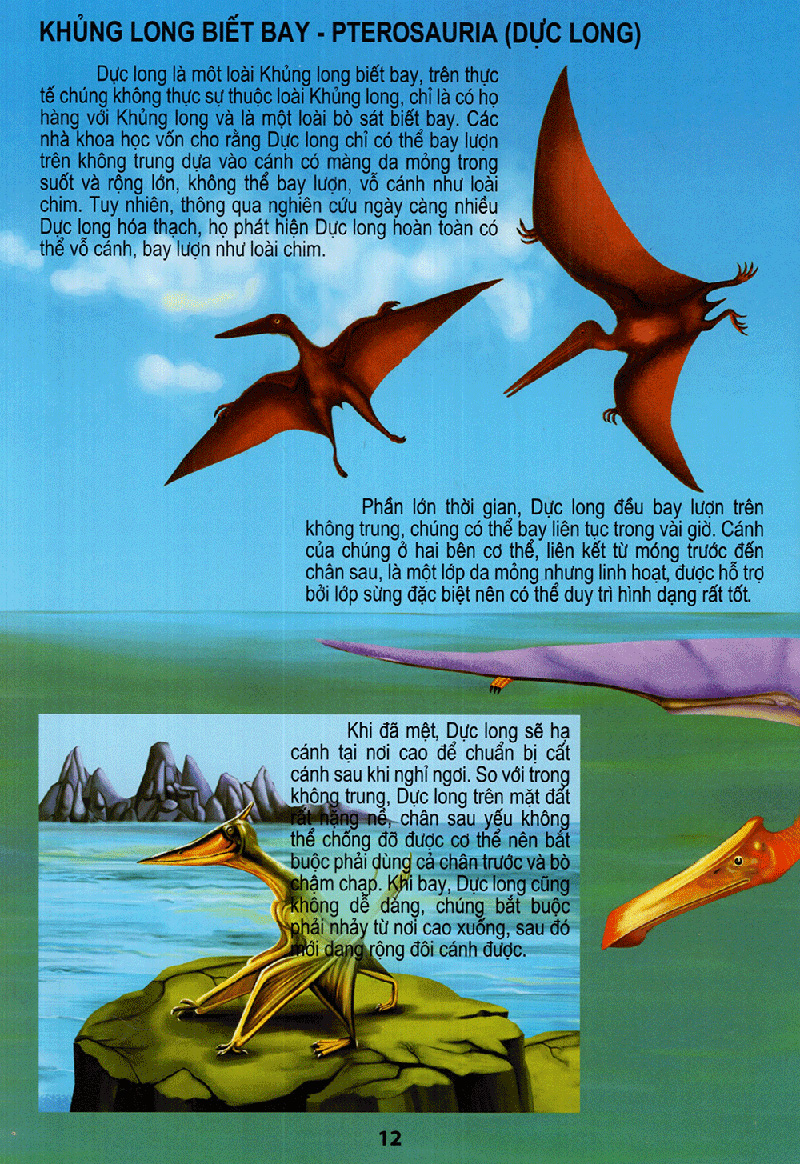 vương quốc khủng long - thế giới động vật kỳ thú