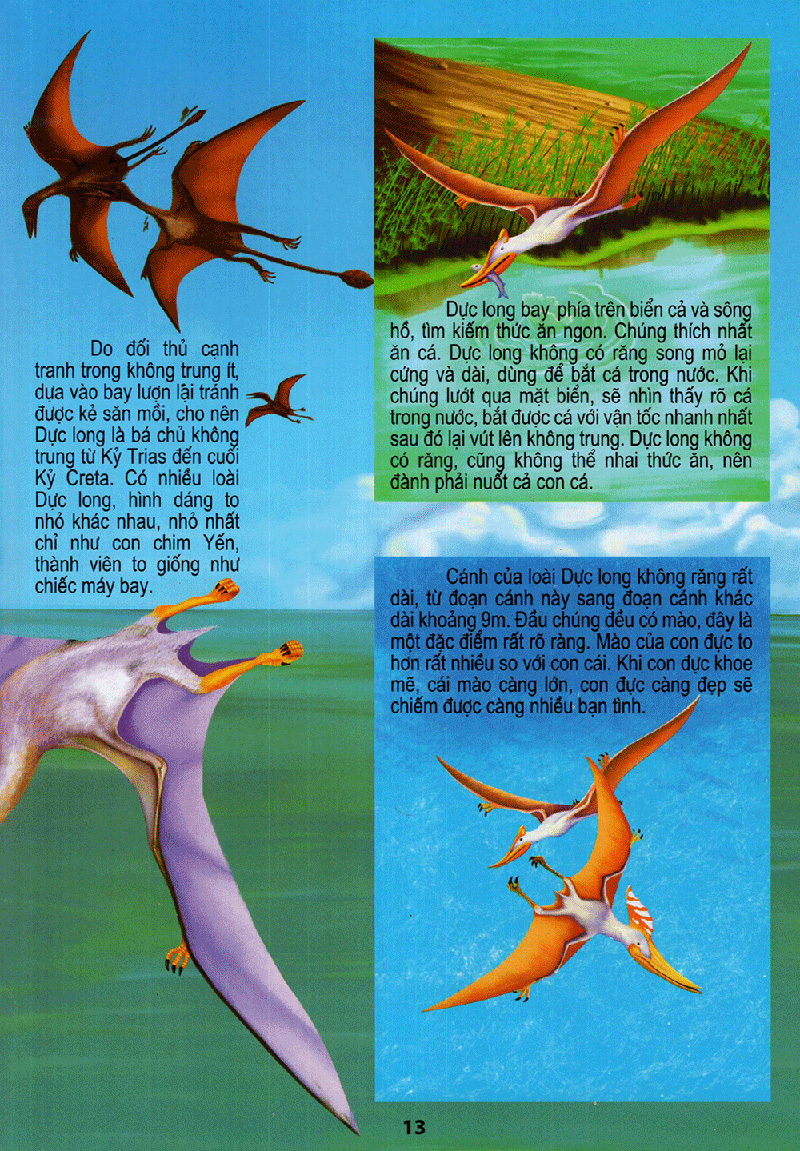 vương quốc khủng long - thế giới động vật kỳ thú