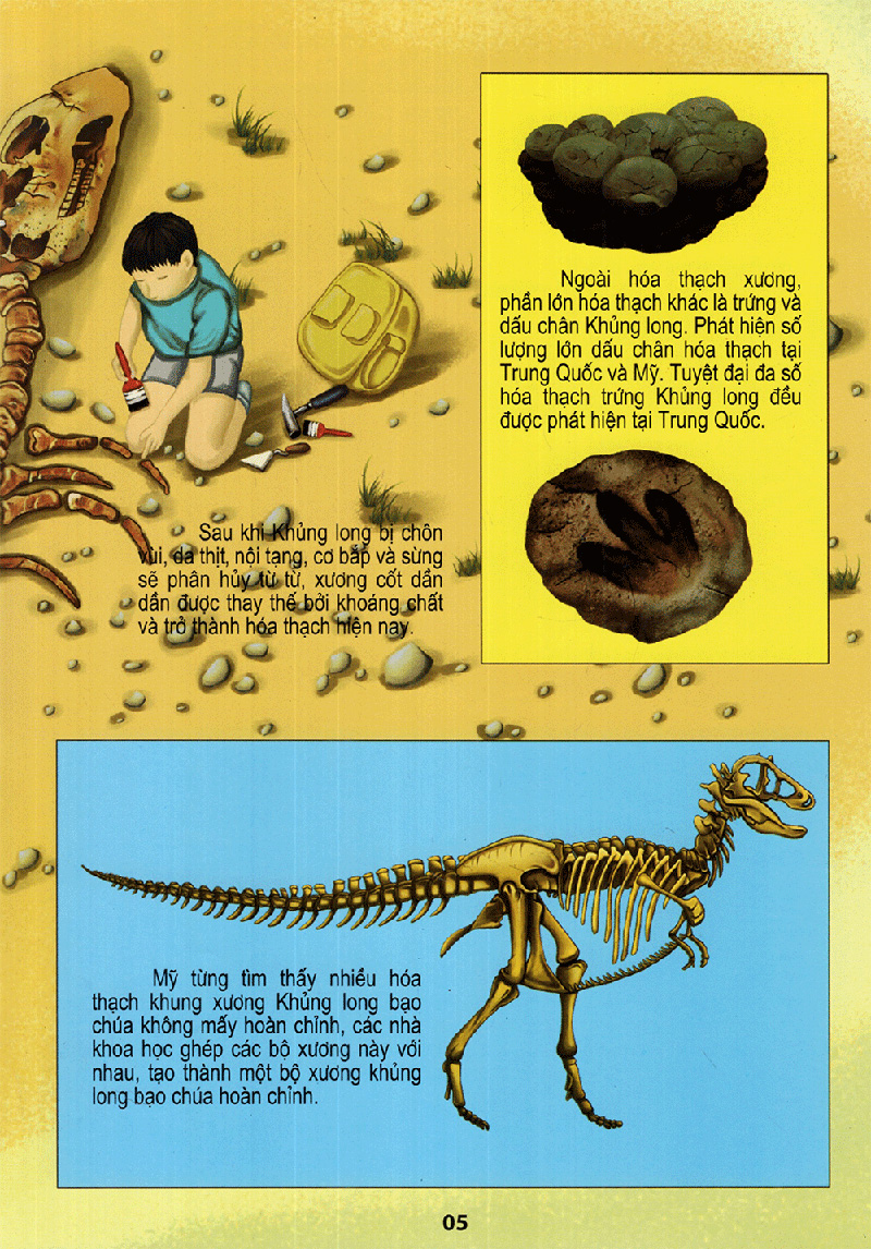 vương quốc khủng long - thế giới động vật kỳ thú