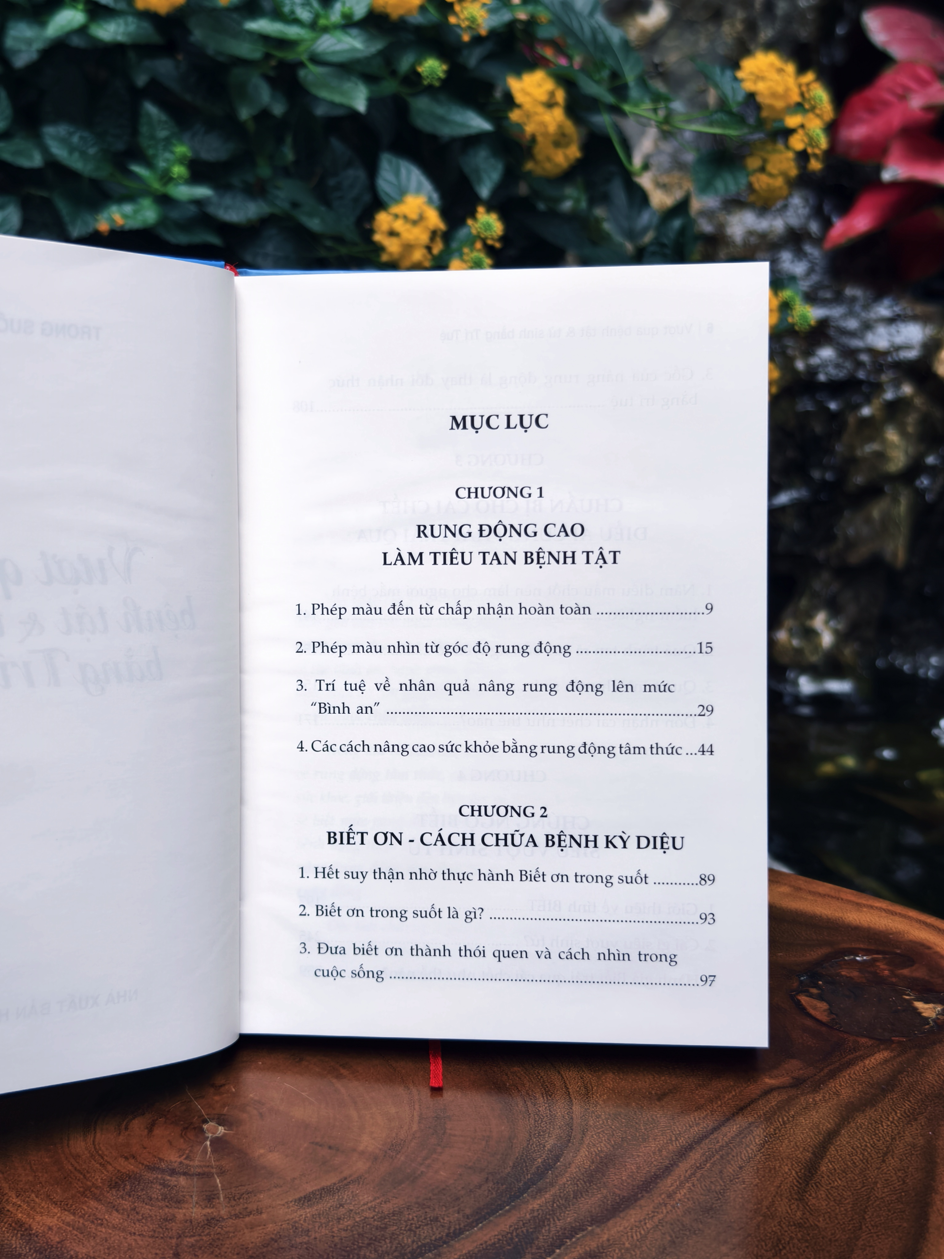 Vuot Qua Benh Tat Va Tu Sinh Bang Tri Tue - Bia Cung