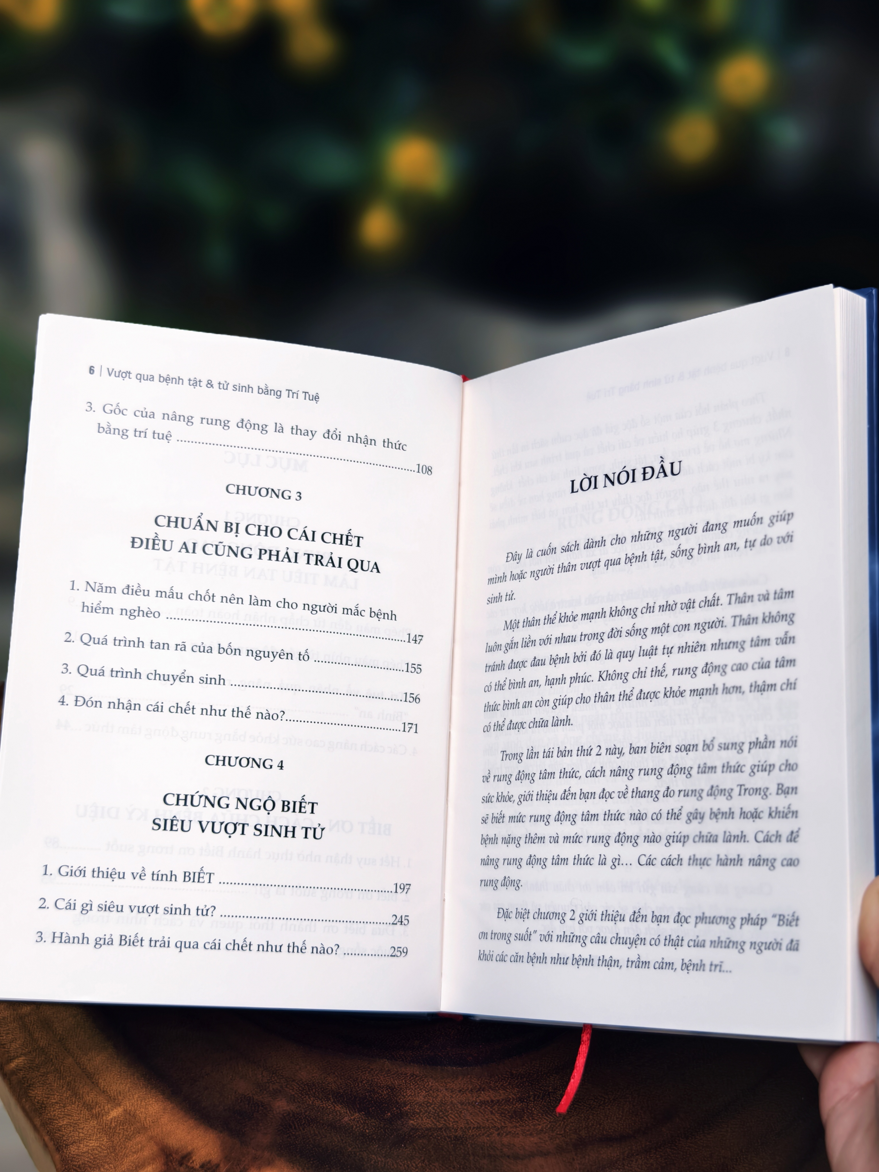 Vuot Qua Benh Tat Va Tu Sinh Bang Tri Tue - Bia Cung