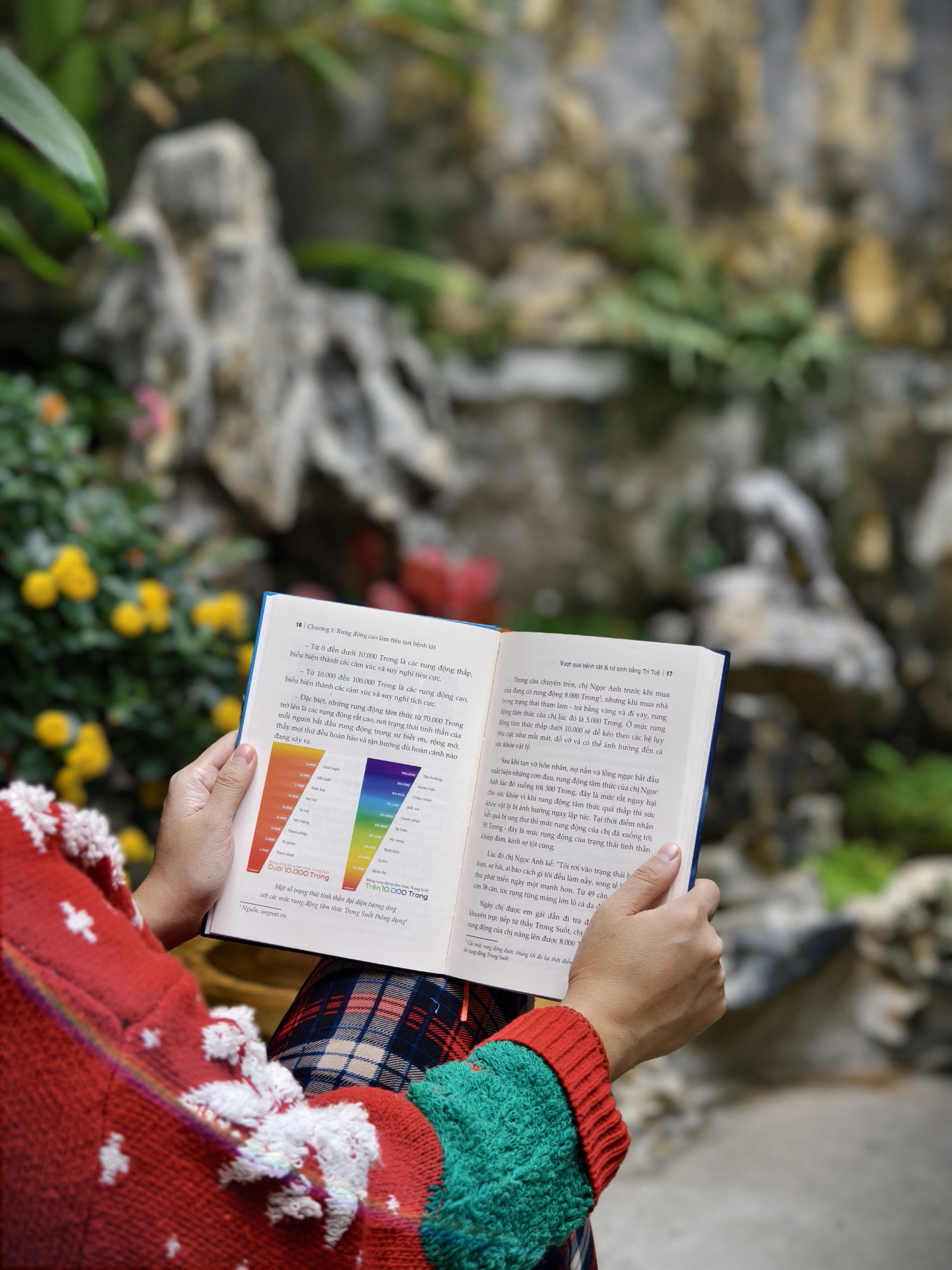 Vuot Qua Benh Tat Va Tu Sinh Bang Tri Tue - Bia Cung