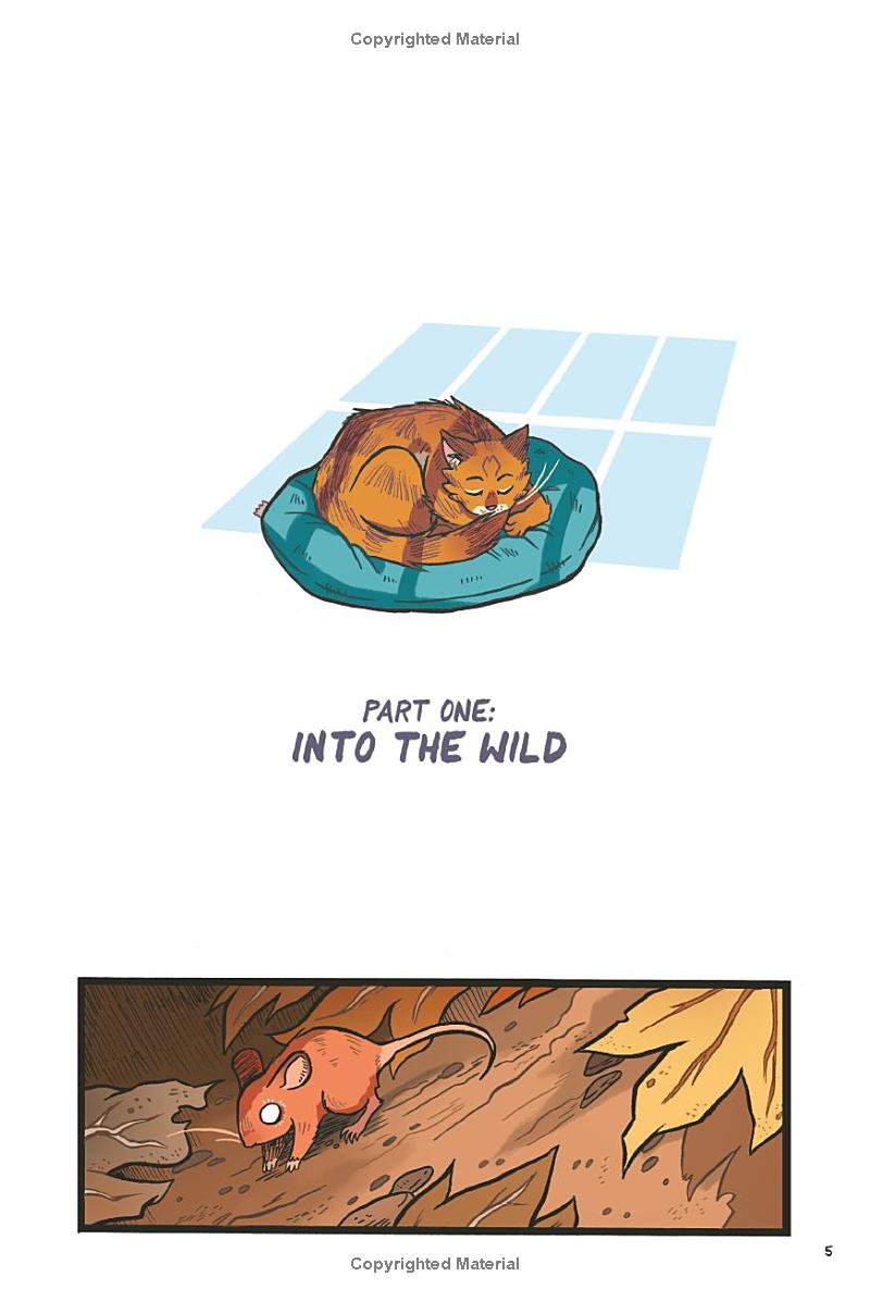 Warriors Graphic Novel - The Prophecies Begin #1