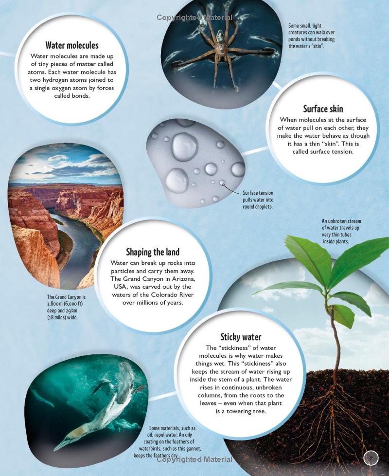 water cycles