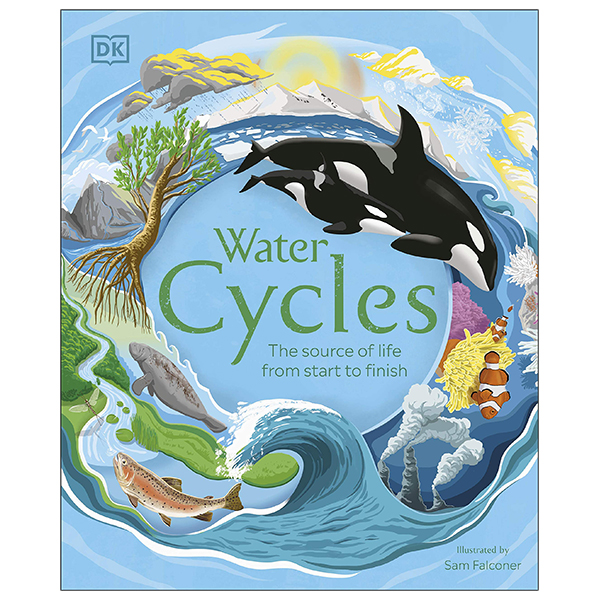 water cycles