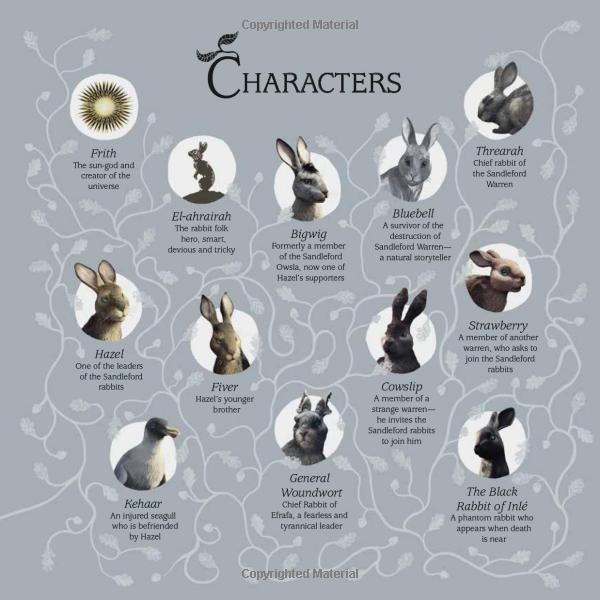 watership down: gift picture storybook