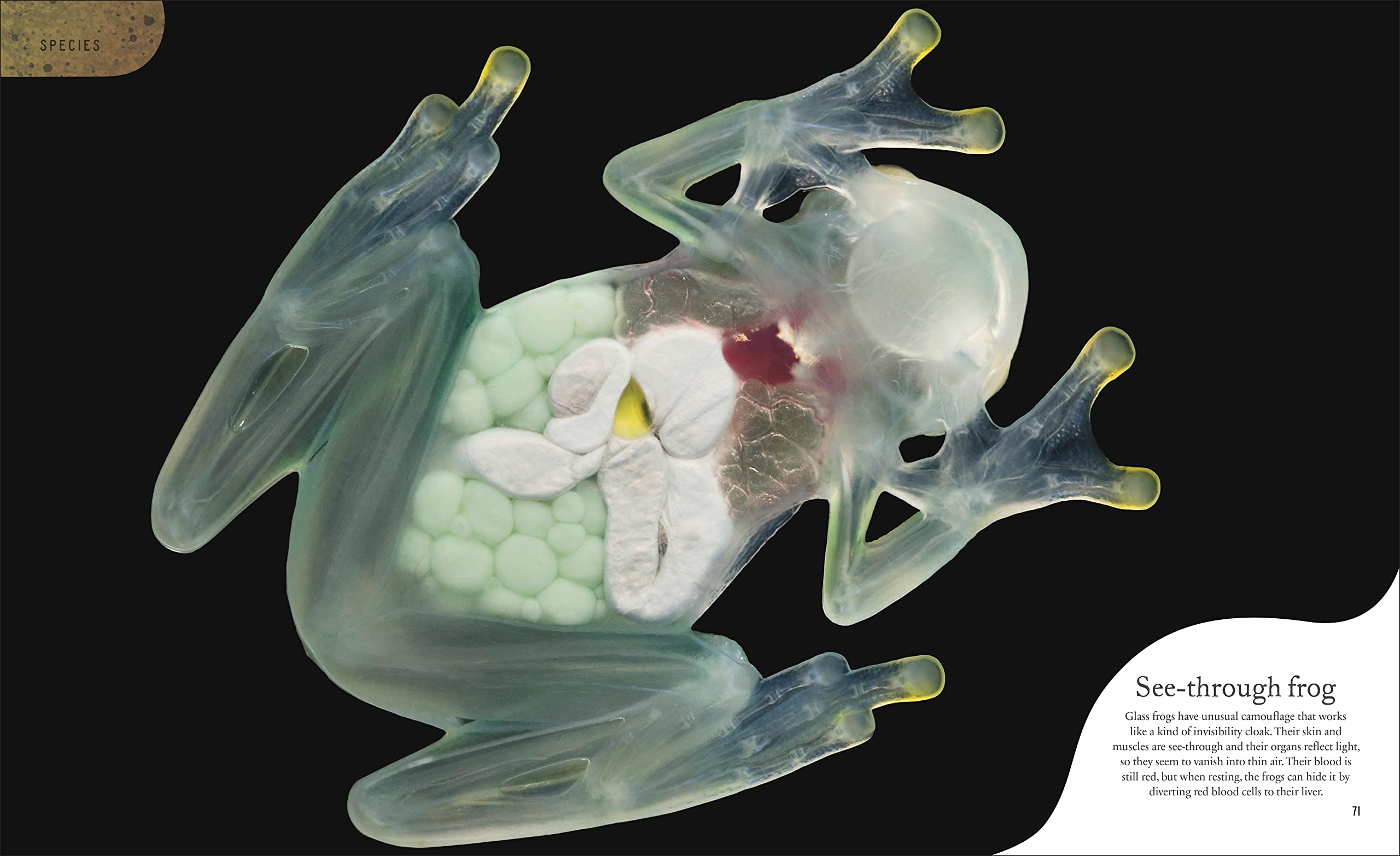 weird and wonderful nature -tales of more than 100 unique animals, plants, and phenomena