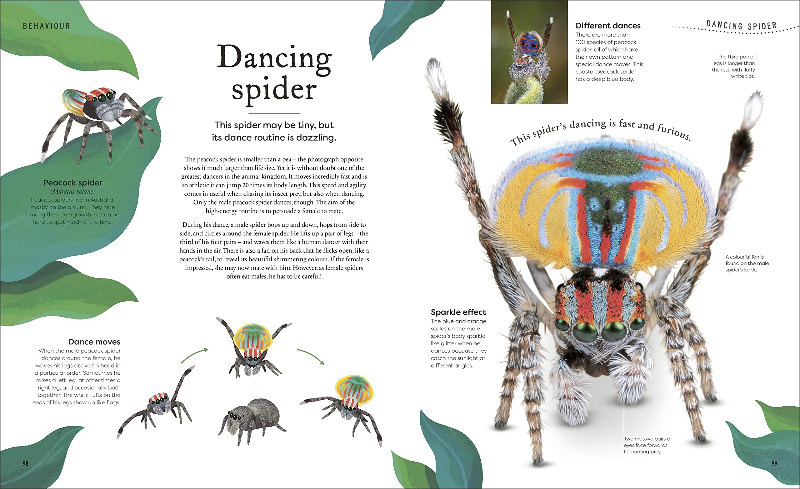 weird and wonderful nature -tales of more than 100 unique animals, plants, and phenomena