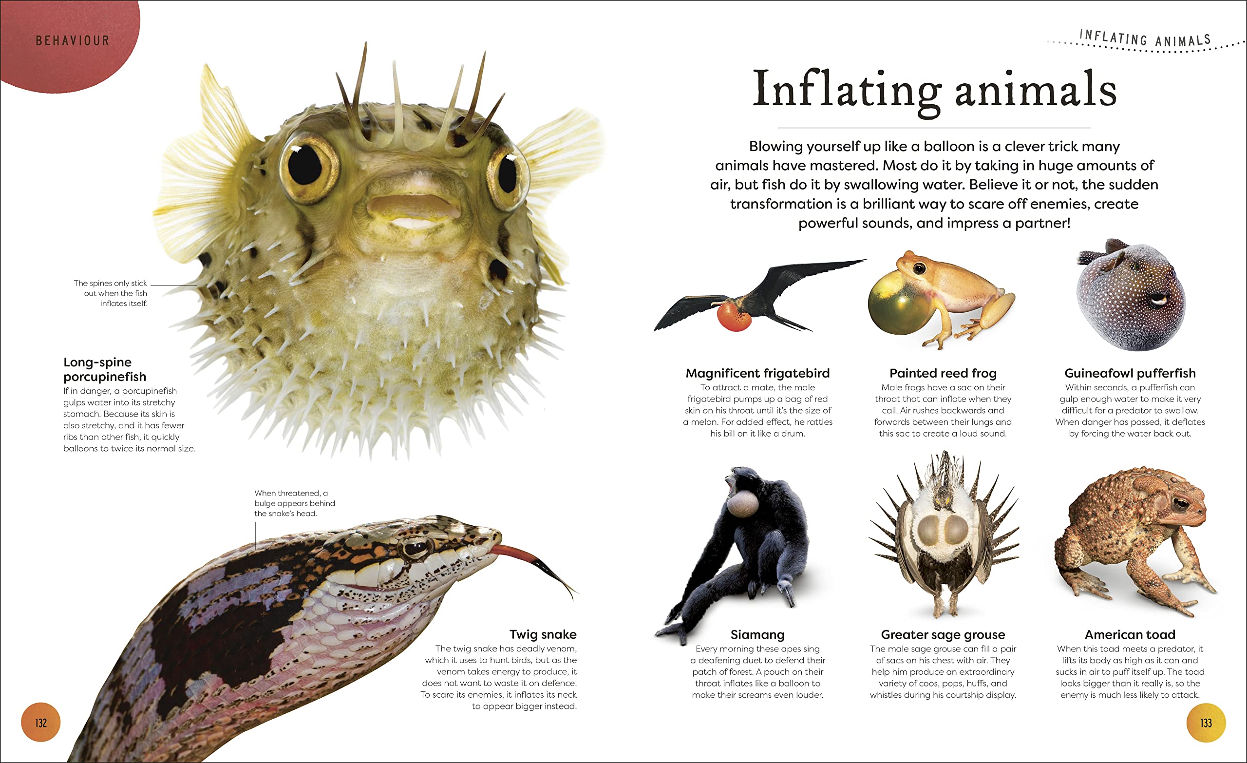 weird and wonderful nature -tales of more than 100 unique animals, plants, and phenomena