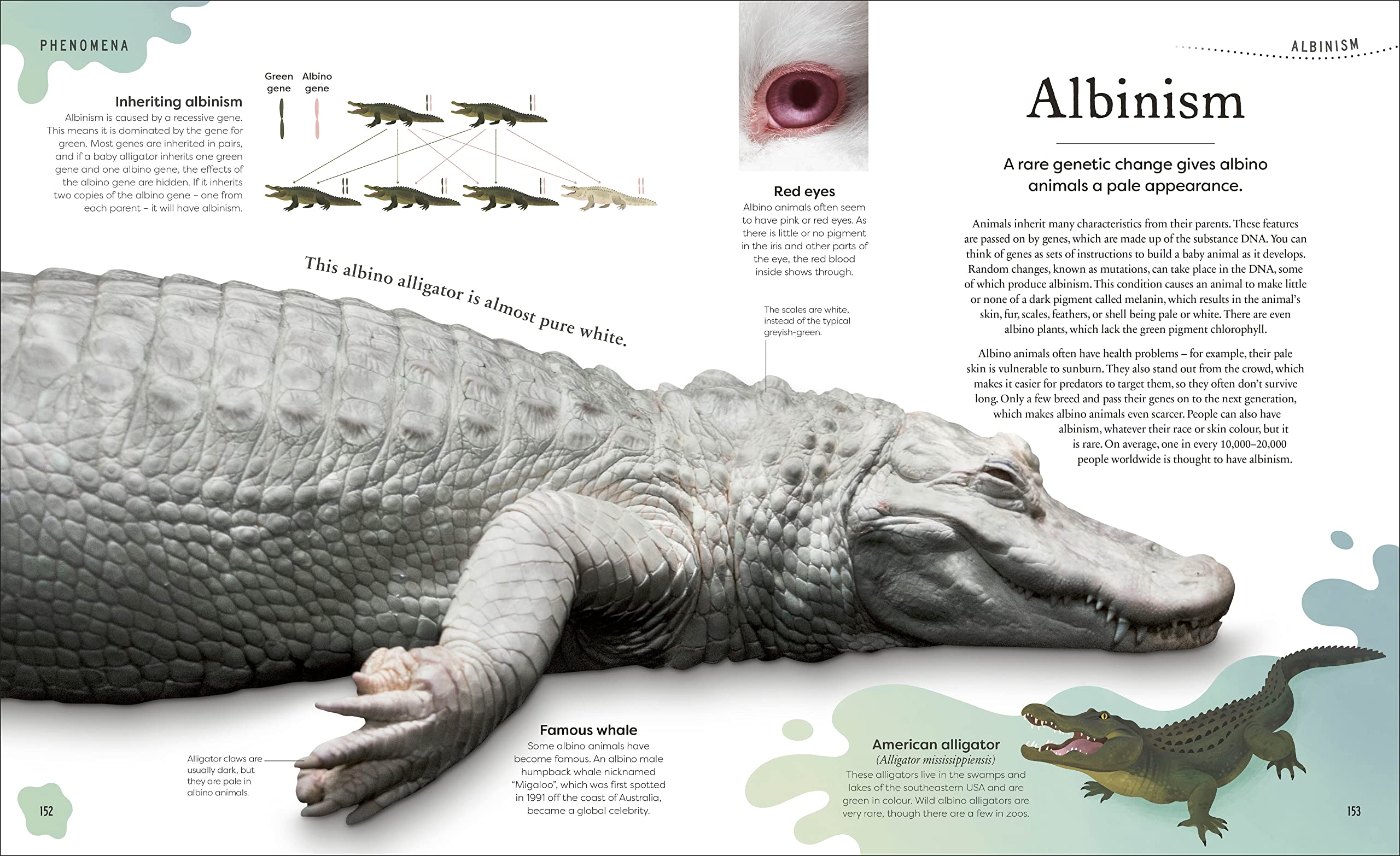 weird and wonderful nature -tales of more than 100 unique animals, plants, and phenomena