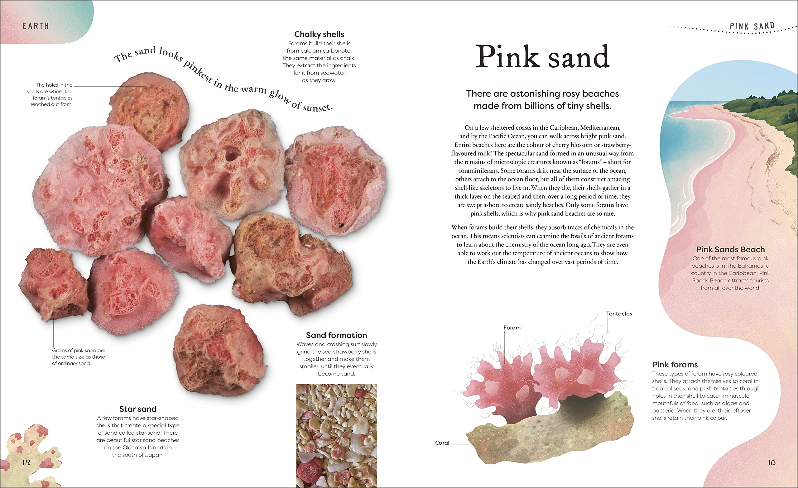 weird and wonderful nature -tales of more than 100 unique animals, plants, and phenomena