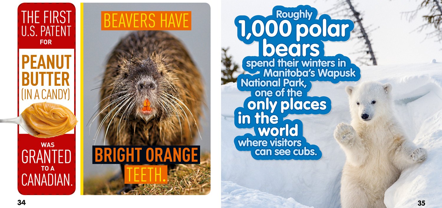 weird but true! canada: 300 outrageous facts about the true north