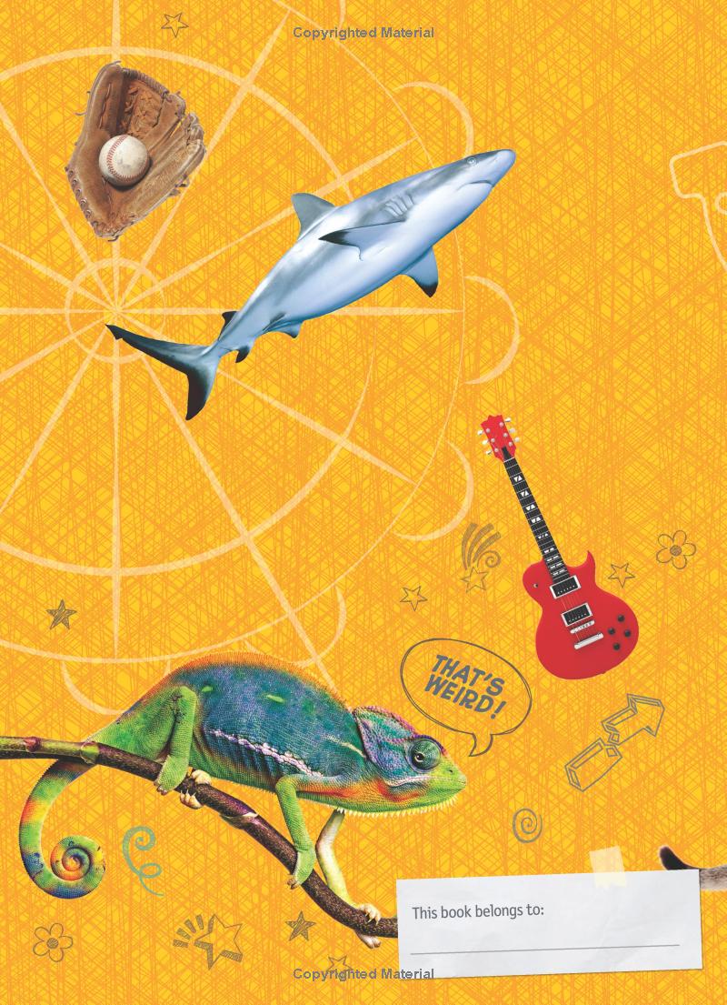 weird but true! cool and crazy sticker doodle book