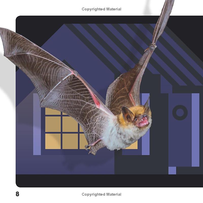 weird but true! halloween: 300 spooky facts to scare you silly