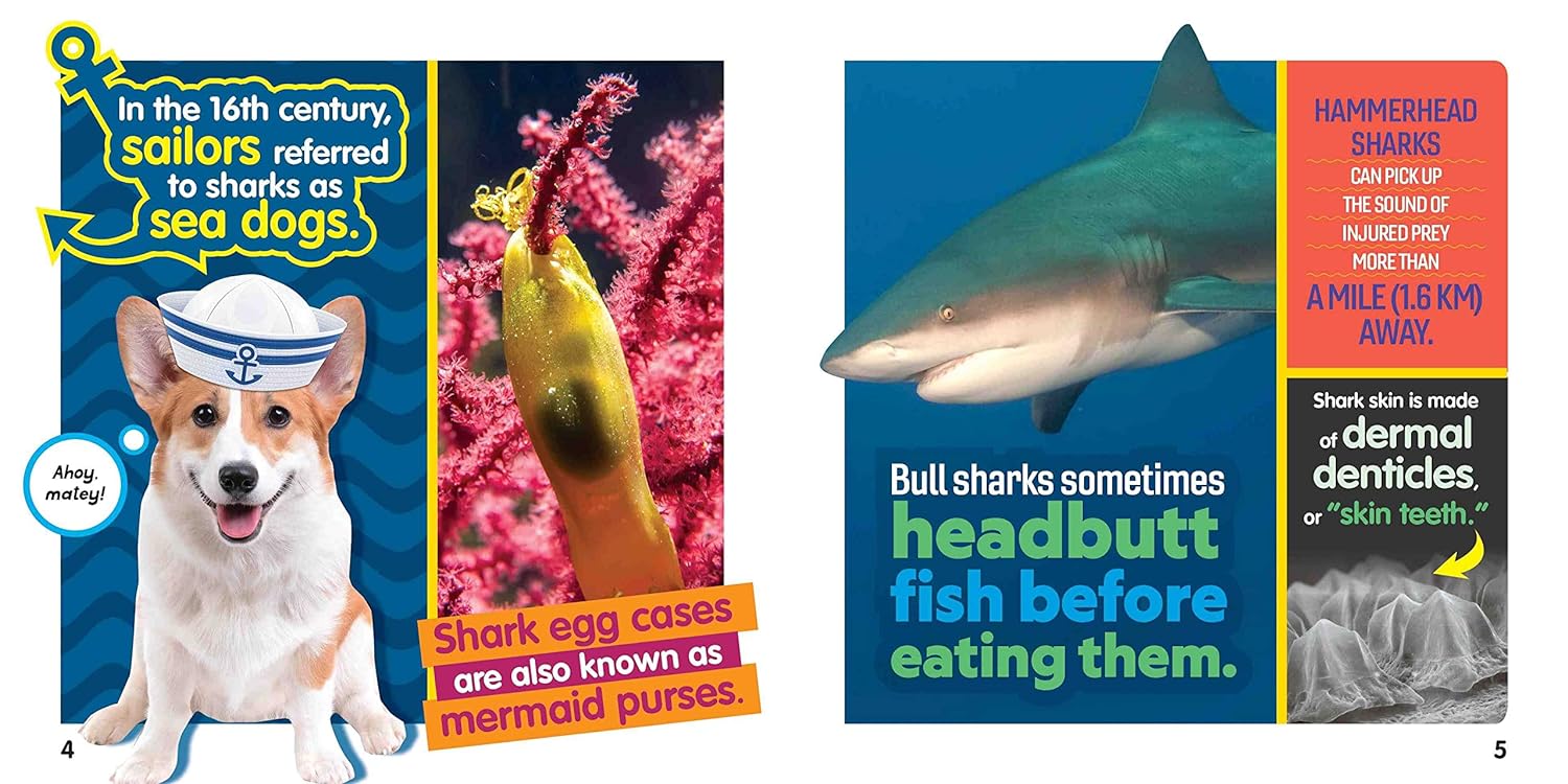 weird but true! sharks