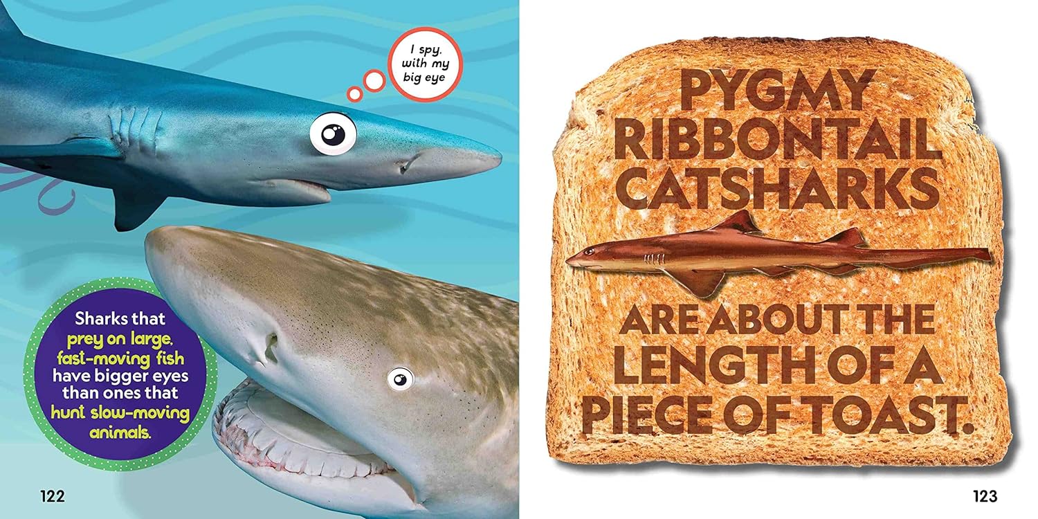 weird but true! sharks