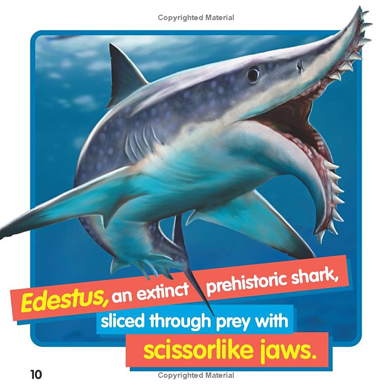 weird but true! sharks