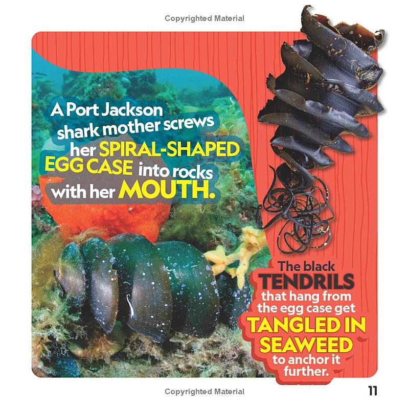 weird but true! sharks