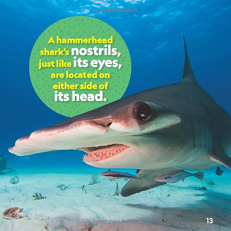 weird but true! sharks