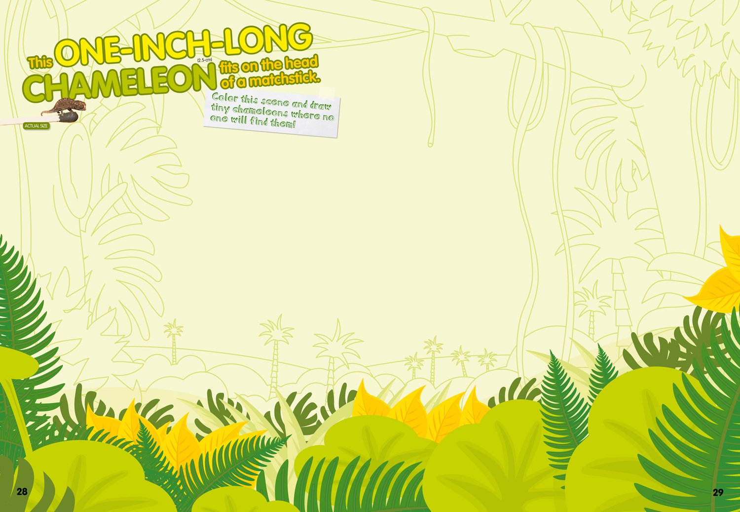 weird but true! sticker doodle book: outrageous facts, awesome activities, plus cool stickers for tons of wacky fun!